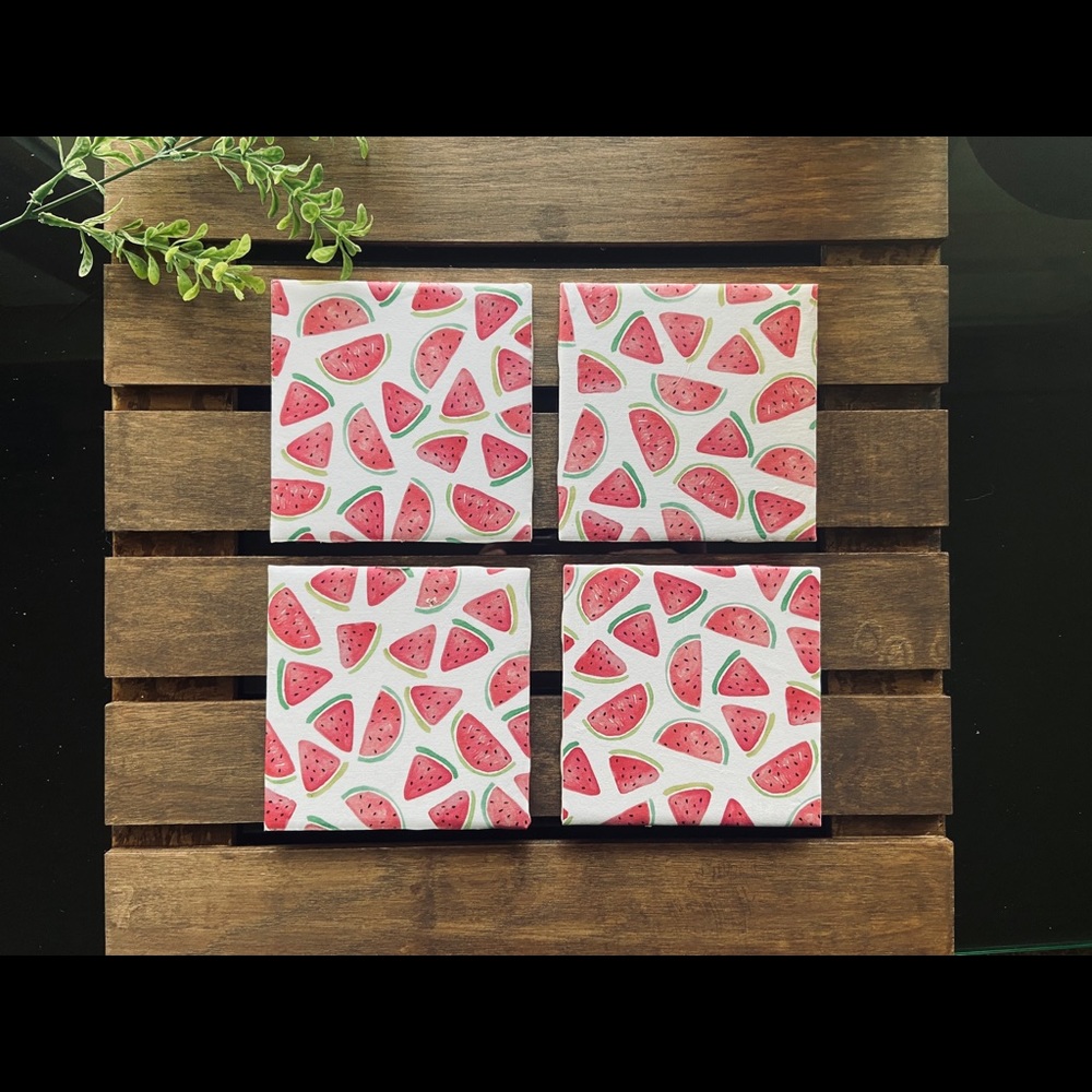 Watermelon coaster set of 4